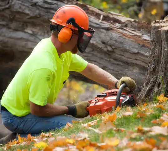 tree services Finley Point